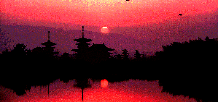 Sunset over temples in Nara, Japan's first capital city(710-784).心理療法, 精神療法、精神科、精神科醫生、道格拉斯 芭格, 東京